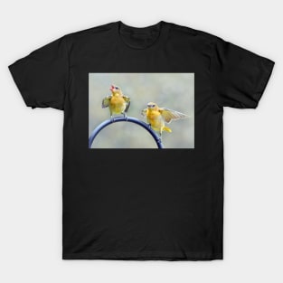 Oriole Fledglings T-Shirt